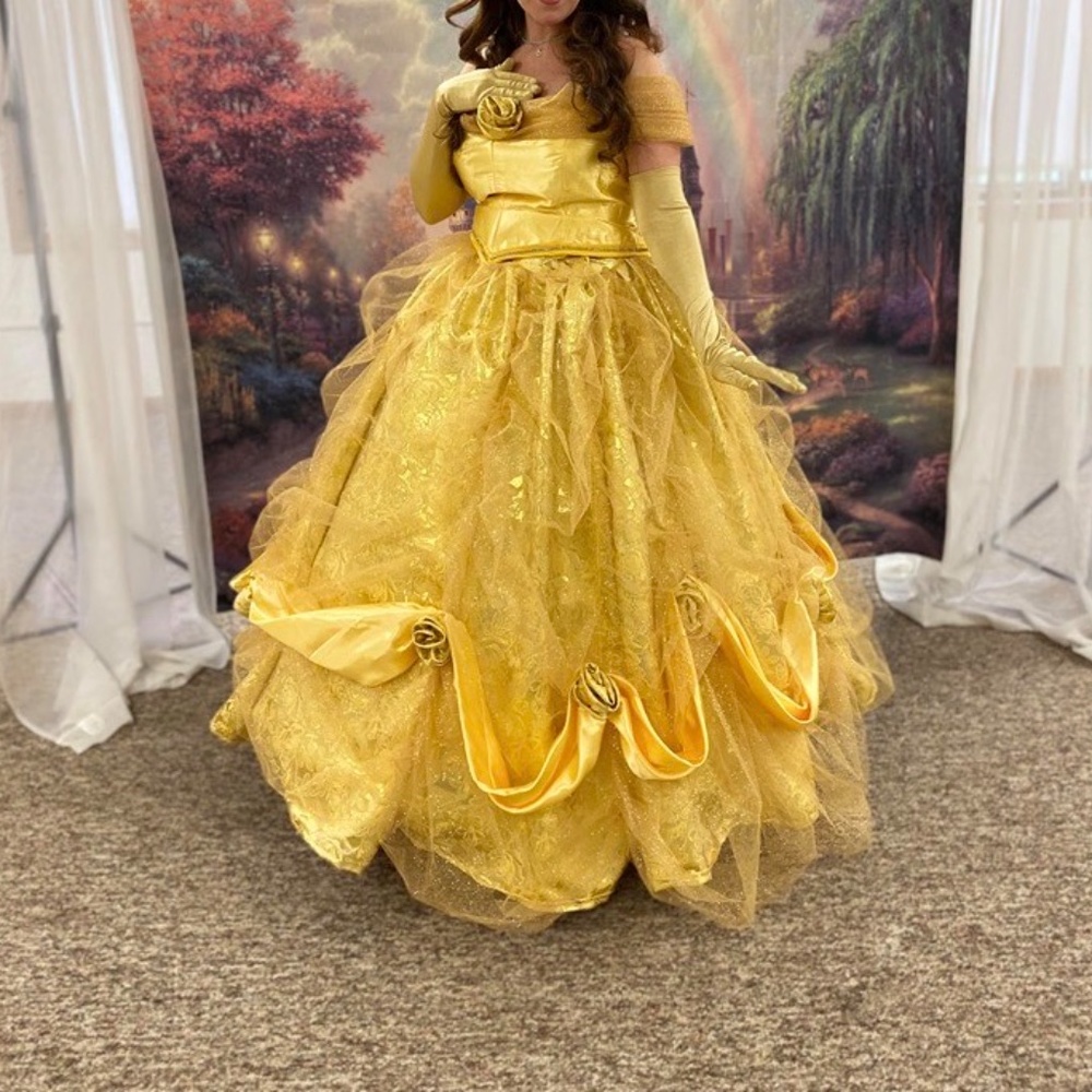 Costume Belle/wig/baby version of dress